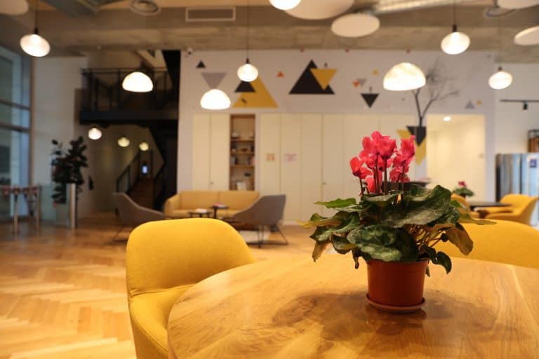 Workport coworking space interior – North High Tech Park, Galilee