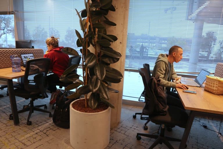 Workport coworking space interior – North High Tech Park, Galilee