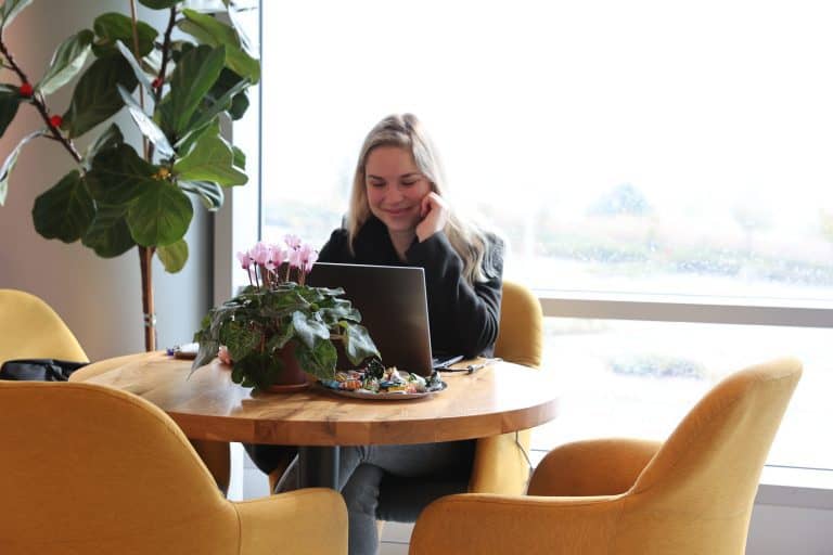 Workport coworking space interior – North High Tech Park, Galilee